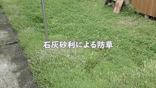 石灰砂利による防草