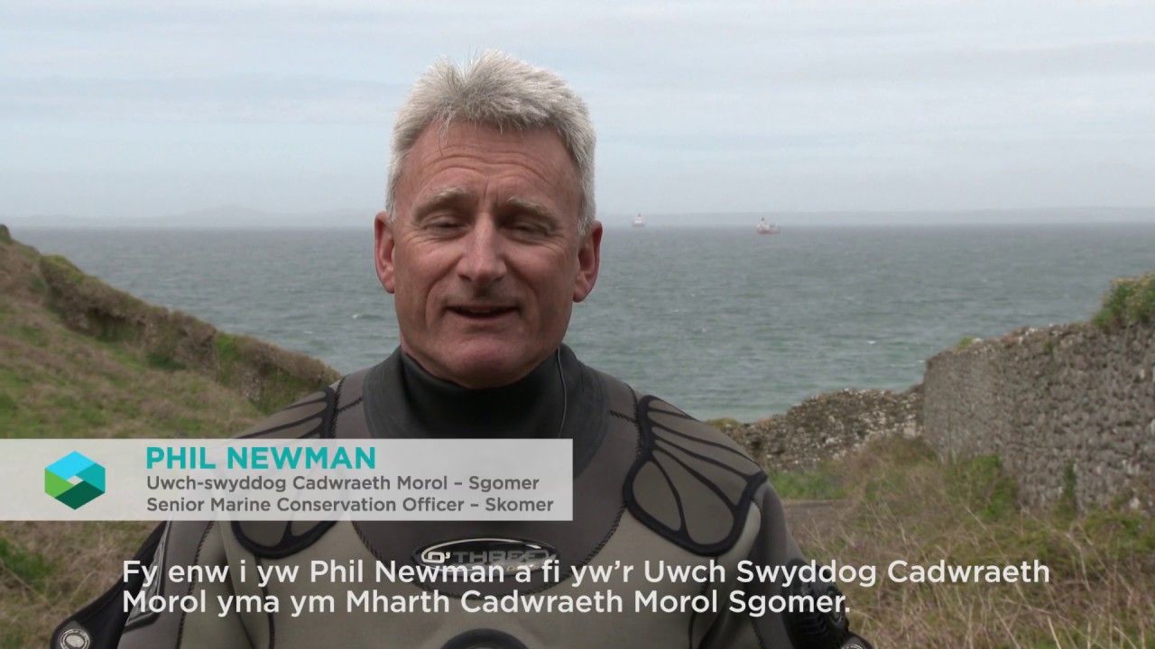  Rheoli Parth Cadwraeth Forol Ynys Sgomer