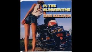 8) David Harleyson - In the Summertime (Summer '93 Mix)