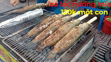 PhátHiện Xe Cá Lóc Nướng Mía120k bán trên vỉa hè chấm mắm nêm cuốn rau sống bánh tráng ngon cực đỉnh