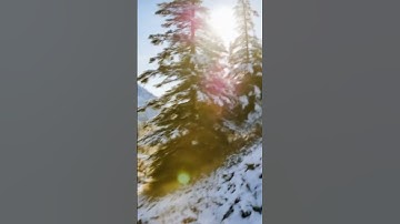 ⚠️ WARNING Sign Before the Avalanche! #shorts