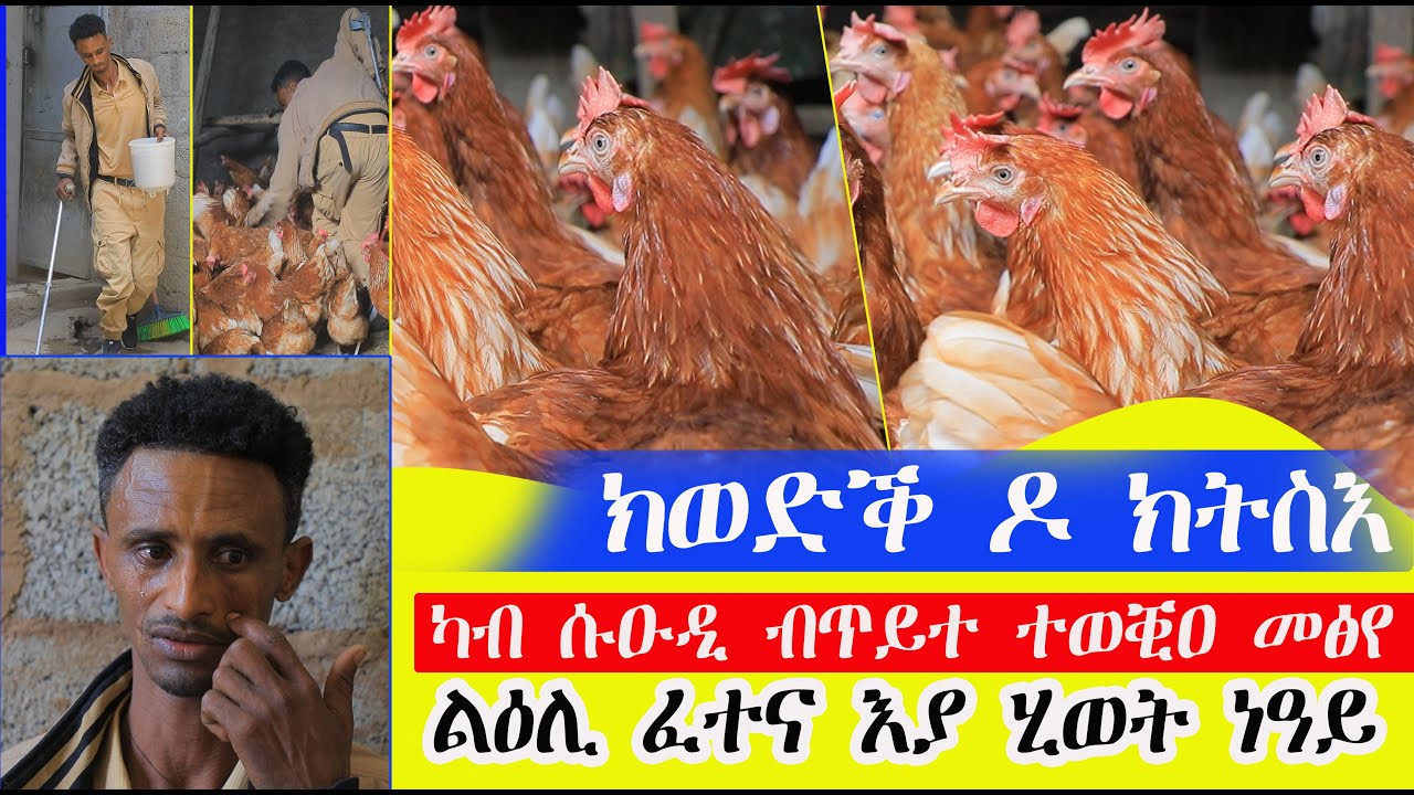 ካብ ሱየዑዲ ብጥይት ተወቒዐ መፅየ ኣብ ዓደይ ብፈተና ይነብር ኣለኹ ክወድቕ ድየ ክትንስእ ኣይፈልጥን ሒወት ከባድ እያ ነዓይ