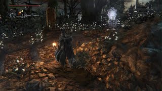 Beast possessed soul