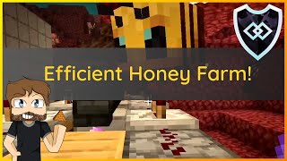 Efficient Honey Farm! - Minecraft 1.19 Survival Lets Play: OO S2 #25