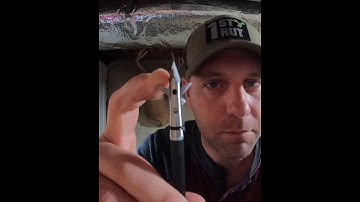 SEVR Broadhead Tips