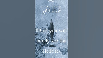 سورة التكاثر من الأية 1 الى 8 ياسر الدوسري