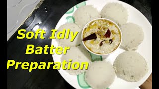 Idly Batter Recipe| Soft Idly Recipe| by Sri Lakshmi Vantalu. screenshot 1