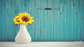 Class-2,3, 4 & 5th English Grammar Use ol Article:-Write and learn with Neelam Mishra