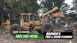 Brongo's Tree Service - Rochester, NY