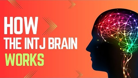 How the INTJ Brain Works