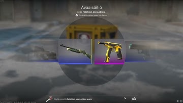 DAY 39 OPENING CS2 CASES UNTIL I GET GOLD!