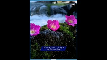 {وآخر دعواهم أن الحمد لله رب العالمين} تلاوة هادئة بصوت القارئ فارس عباد