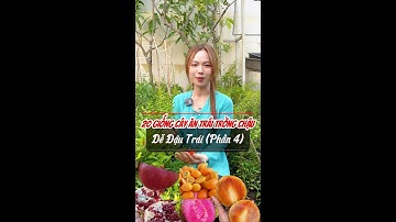 (P4) 20 Giống cây ăn trái trồng chậu dễ đậu trái
