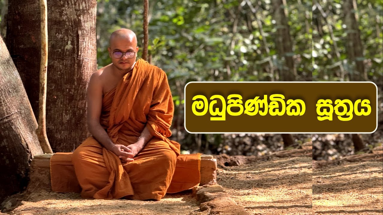මධුපිණ්ඩික සූත්‍රය | Madhupindika Suthraya (2024.08.14)
