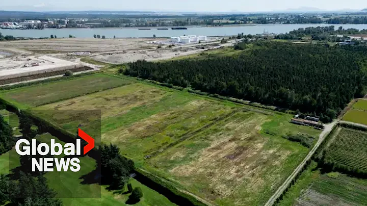 B.C. tells homeowners they can still buy, sell land amid Cowichan ruling