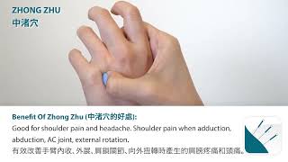 Acupuncture Massage Therapy English Version - North East Medical Services