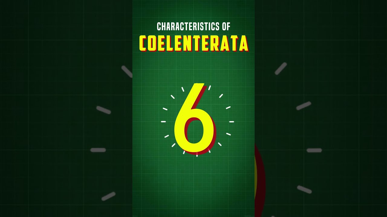 Characteristics Of Coelenterata Cnidarian Phylum Shorts Education Biology Neet Aiims