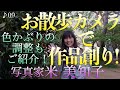 【撮影術】お散歩カメラで作品創り!ご近所や公園の撮り方をご紹介!よくある色かぶりの簡単な調整方法もお見せします。