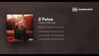 2 Peine ( Slowed and Reverb )