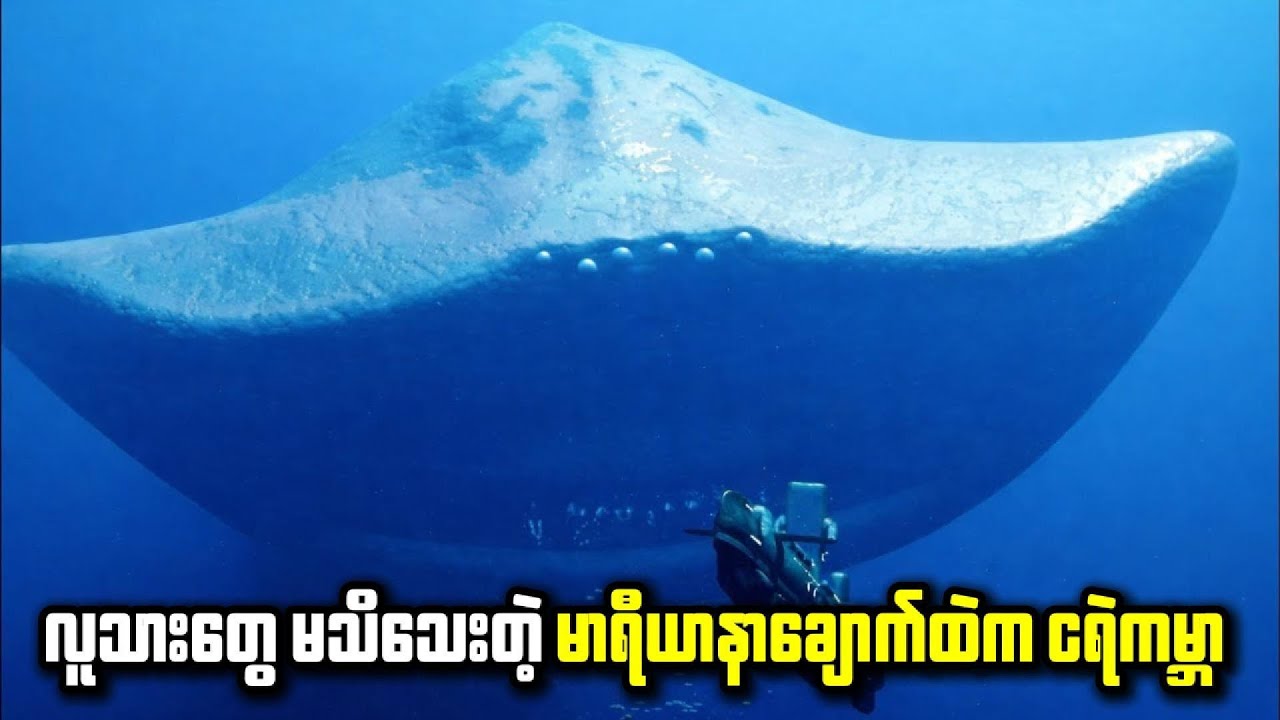 ရေအောက် ၇ မိုင် အောက်ခြေကနေ ကျွန်ုပ်တို့ကို စောင့်ကြည့်နေတာ ဘယ်သူလဲ?