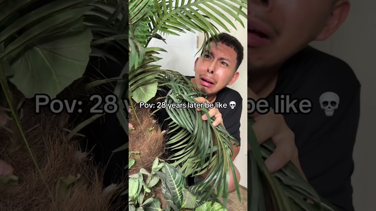 Pov: 28 years later be like 💀 