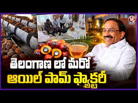 Another Oil Palm Factory to Be Inaugurated in Telangana: Minister Tummala | V6 News - V6NEWSTELUGU