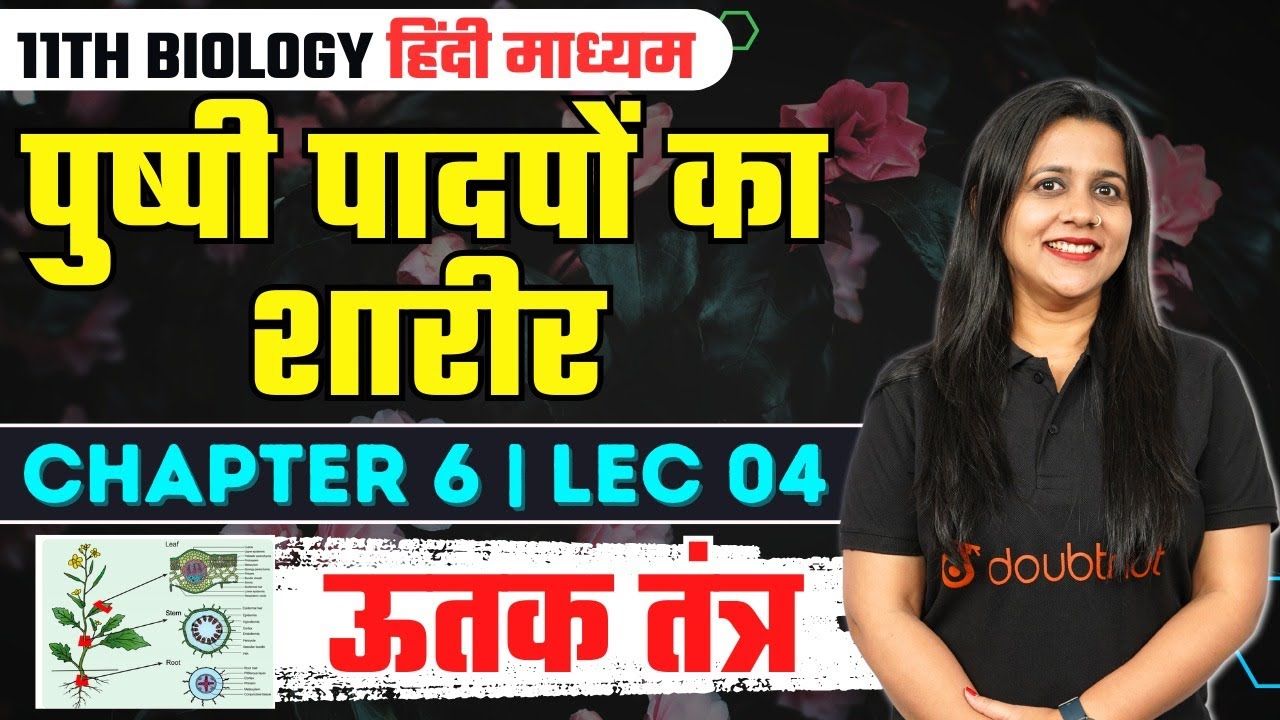 पुष्पी पादपों का शारीर Class 11 | ऊतक तंत्र | Tissue System in Hindi | 11th Biology Chapter 6 Lec 04