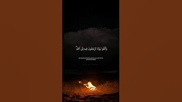 واتقوا يوما ترجعون فيه إلى الله #اكسبلور #تلاوة_خاشعة #قرآن #قرآن_كريم #ترند #foryou #آيات