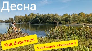 Как ловить фидером на сильном течении на реке Десна