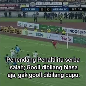 Story Wa Persib bandung