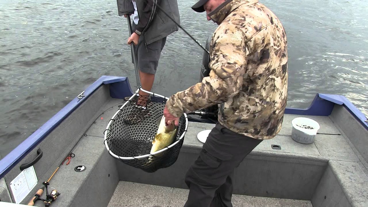 Bottom bouncing Saskatchewan walleye. - YouTube