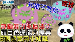 【寶可夢傳說 阿爾宙斯】密技8個超實用小知識知道不吃虧 頭目色違普通能力差異 無腦抓怪方法？黏丸、泥球無限拿 時空扭曲怎賺錢？【地方熊貓】Pokémon LEGENDS アルセウス