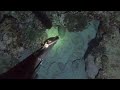 【素潜り魚突き】2023年3月22日【spearfishing in JAPAN】