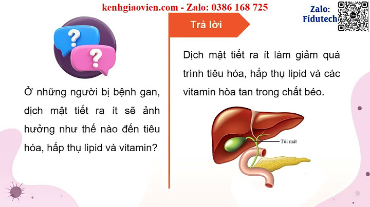 Khái niệm hình thức tiêu hóa ở động vật năm 2024