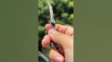 Practical compact folding knife with a scalpel blade