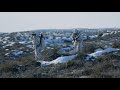 Зимняя Охота на Волков (Койотов) в США, O’Neill Ops-Coyote Hunting, Winterjagd auf Wölfe (Kojoten)