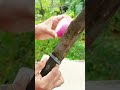 Kitchen knife sharpener unboxing #instagram #kerala #reels #youtubeshorts #unboxing #experiment