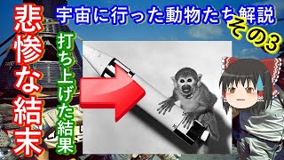 【ゆっくり解説】宇宙に行った動物たち その3　宇宙へ打ち上げられたリスザルとアカゲザルの結末とは