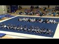Air Force Women's Gymnastics vs Utah State