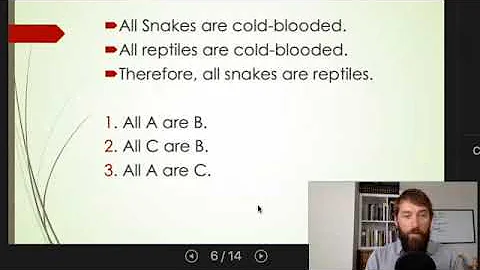Counterexample Method