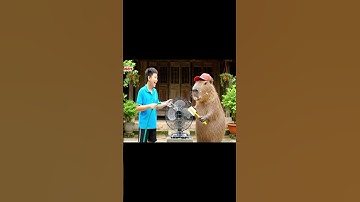 Capy cùng anh giúp bà lau quạt và cái kết #capybara #vuive #giaitri #cuocsongcuacapy