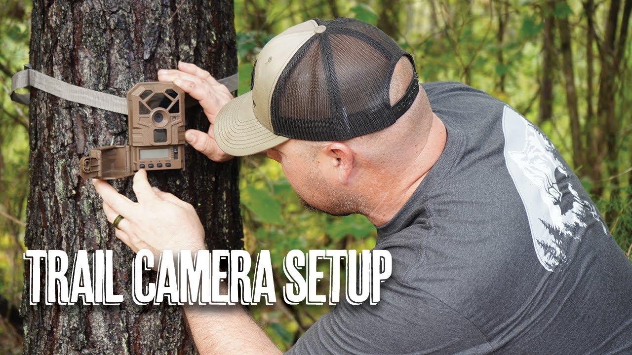 Trail Camera Setups for Fall Rural King Hunting Tips YouTube
