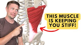 This Muscle Is Keeping You STIFF! (and most don