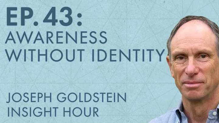 Joseph Goldstein  Insight Hour  Ep. 43  Awareness ...