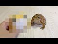 お待たせしましたー!