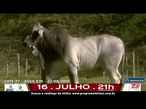 LOTE 027