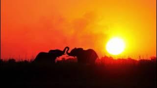 Professor & Heavy K - Hamb'olala