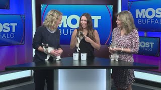 Ten Lives Club visits Most Buffalo