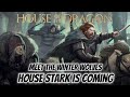 Meet the winter wolves of house stark  house of the dragon season 2