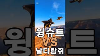 AI 영상 | 그랜드캐년, 날다람쥐와 윙슈트 인간의 꿈같은 동반 비행 🐿️🦅 #aiart #ai영상 #가상대결